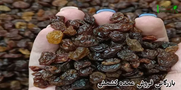 بازرگانی فروش عمده کشمش