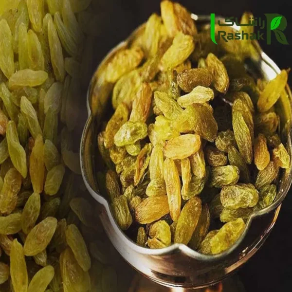 خرید عمده کشمش سبز قلمی (کاشمری)