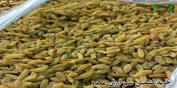 خرید کشمش سبز ارزان عمده