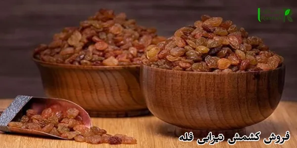 فروش کشمش تیزابی فله
