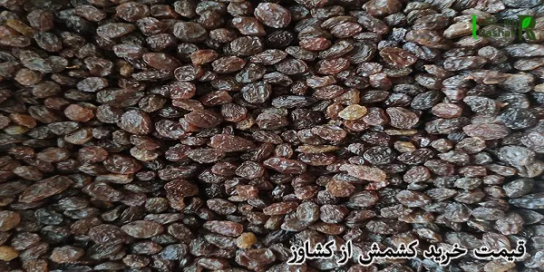 قیمت خرید کشمش از کشاوز