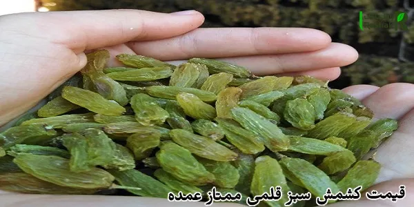 قیمت کشمش سبز قلمی ممتاز عمده
