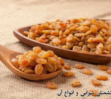 آشنایی با کشمش تیزابی و انواع آن