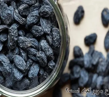 بهترین نوع مویز کدام است؟