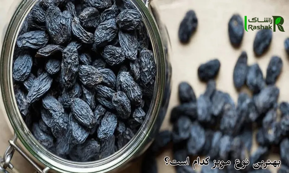 بهترین نوع مویز کدام است؟