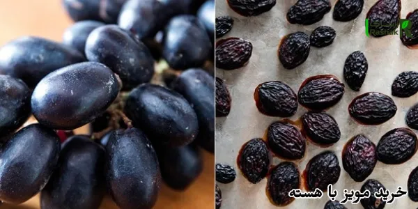 خرید مویز با هسته