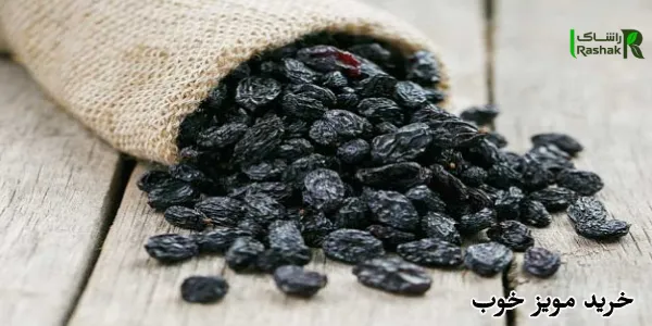 خرید مویز خوب