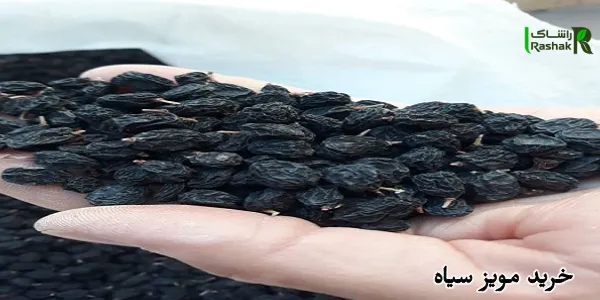 خرید مویز سیاه