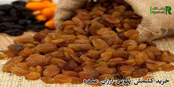 خرید کشمش پلویی ارزان عمده