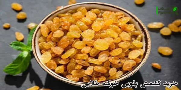 خرید کشمش پلویی خوشه طلایی