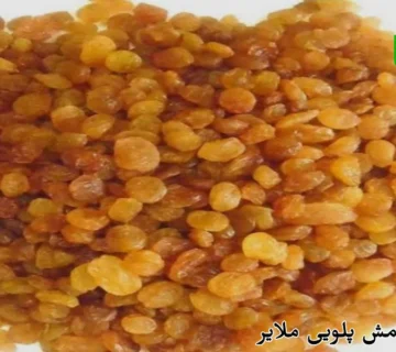 خرید کشمش پلویی ملایر
