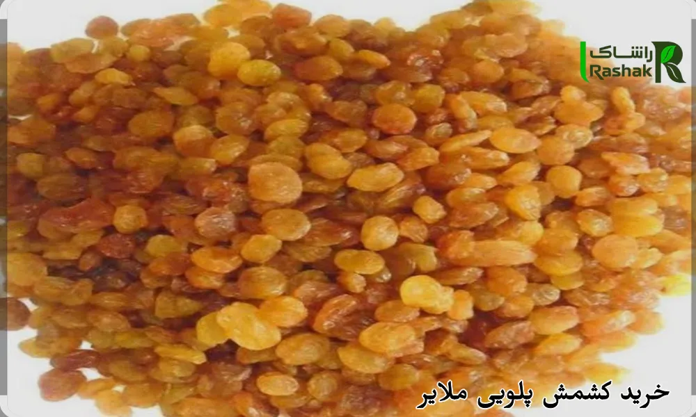 خرید کشمش پلویی ملایر