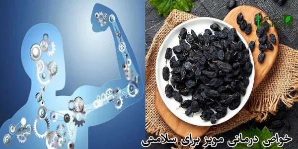 خواص درمانی مویز برای سلامتی