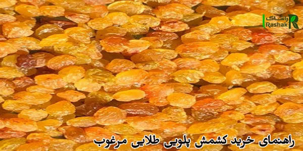 راهنمای خرید کشمش پلویی طلایی مرغوب