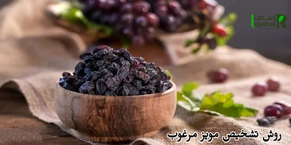روش تشخیص مویز مرغوب