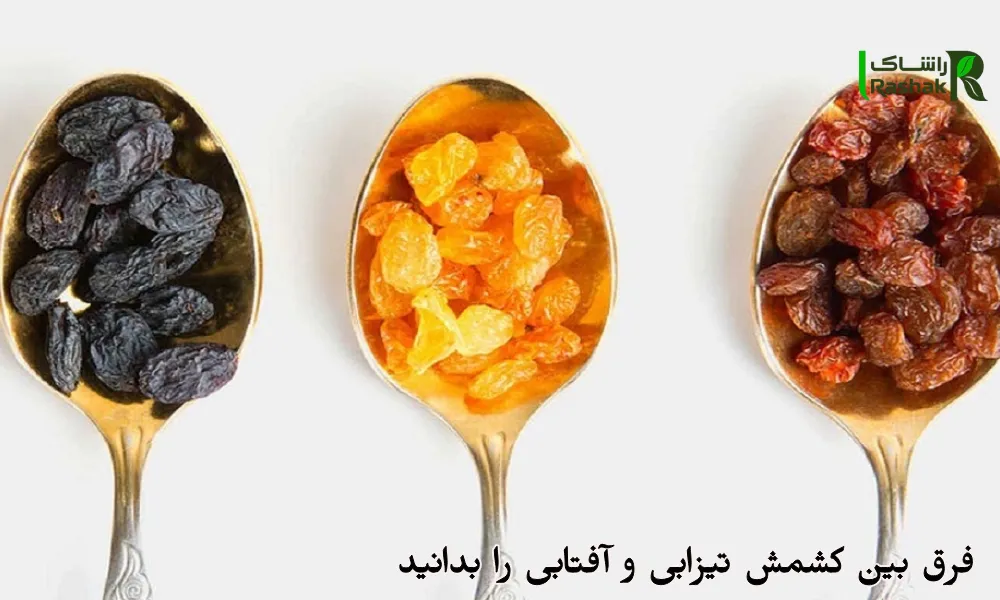 فرق بین کشمش تیزابی و آفتابی را بدانید