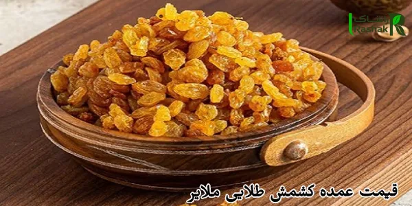 قیمت عمده کشمش طلایی ملایر