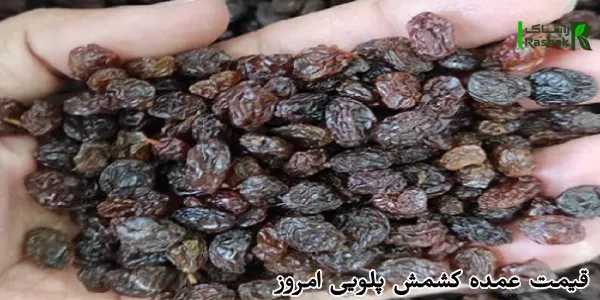 قیمت عمده کشمش پلویی امروز