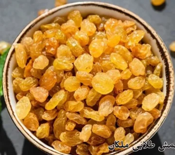 قیمت کشمش طلایی ملکان