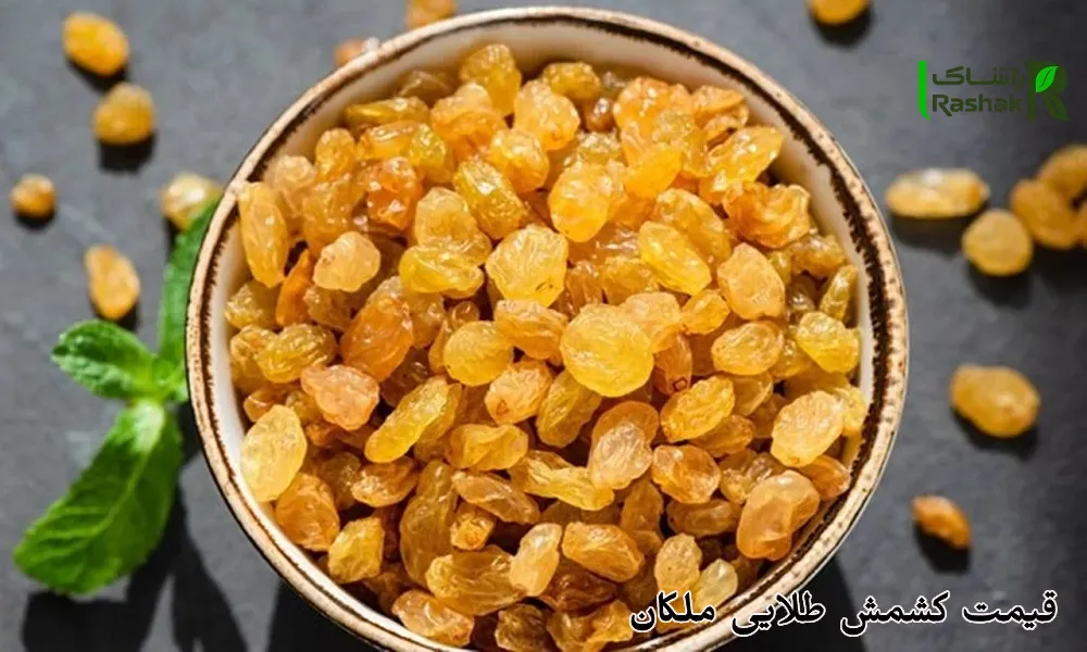 قیمت کشمش طلایی ملکان