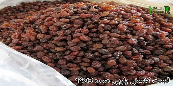 قیمت کشمش پلویی عمده 1403