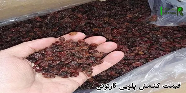 قیمت کشمش پلویی کارتونی