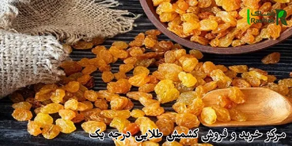 مرکز خرید و فروش کشمش طلایی درجه یک