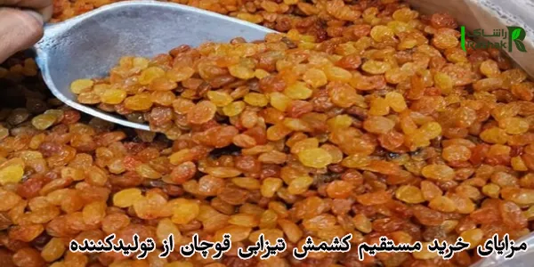 مزایای خرید مستقیم کشمش تیزابی قوچان از تولیدکننده