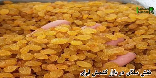 نقش ملکان در بازار کشمش ایران