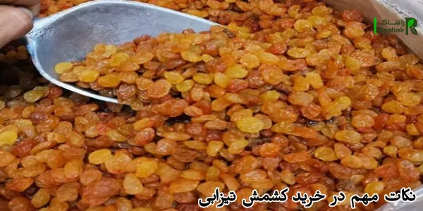 نکات مهم در خرید کشمش تیزابی