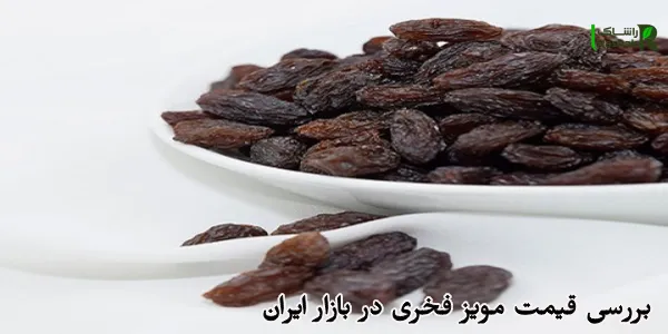 بررسی قیمت مویز فخری در بازار ایران