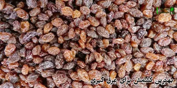 بهترین کشمش برای عرق گیری