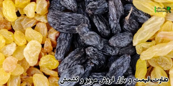 تفاوت قیمت و بازار فروش مویز و کشمش