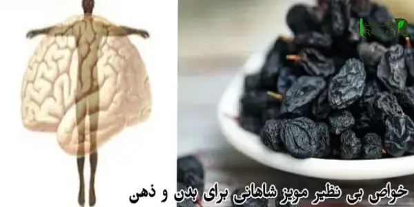 خواص بی نظیر مویز شاهانی برای بدن و ذهن