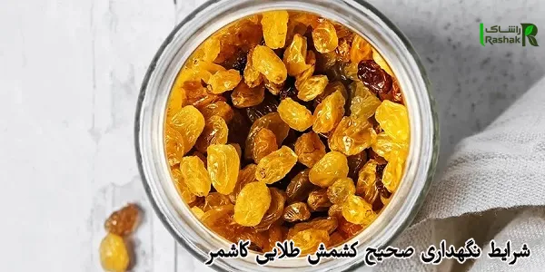  شرایط نگهداری صحیح کشمش طلایی کاشمر