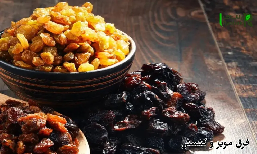 فرق مویز و کشمش