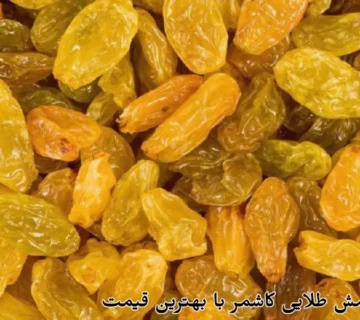 فروش کشمش طلایی کاشمر با بهترین قیمت