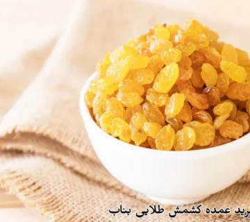 قیمت و خرید عمده کشمش طلایی بناب
