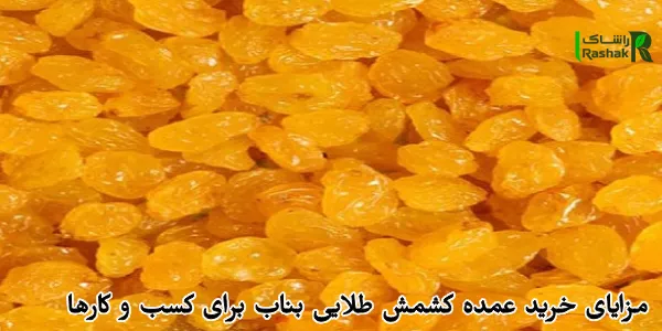 مزایای خرید عمده کشمش طلایی بناب برای کسب و کارها