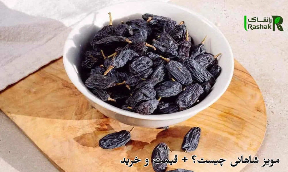 مویز شاهانی چیست؟ + قیمت و خرید