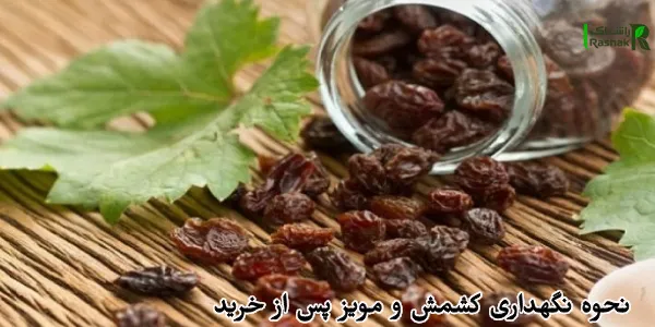 نحوه نگهداری کشمش و مویز پس از خرید