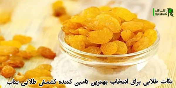 نکات طلایی برای انتخاب بهترین تامین کننده کشمش طلایی بناب