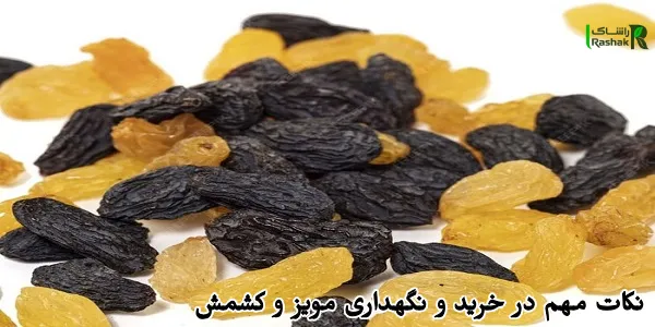 نکات مهم در خرید و نگهداری مویز و کشمش