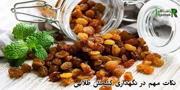 نکات مهم در نگهداری کشمش طلایی