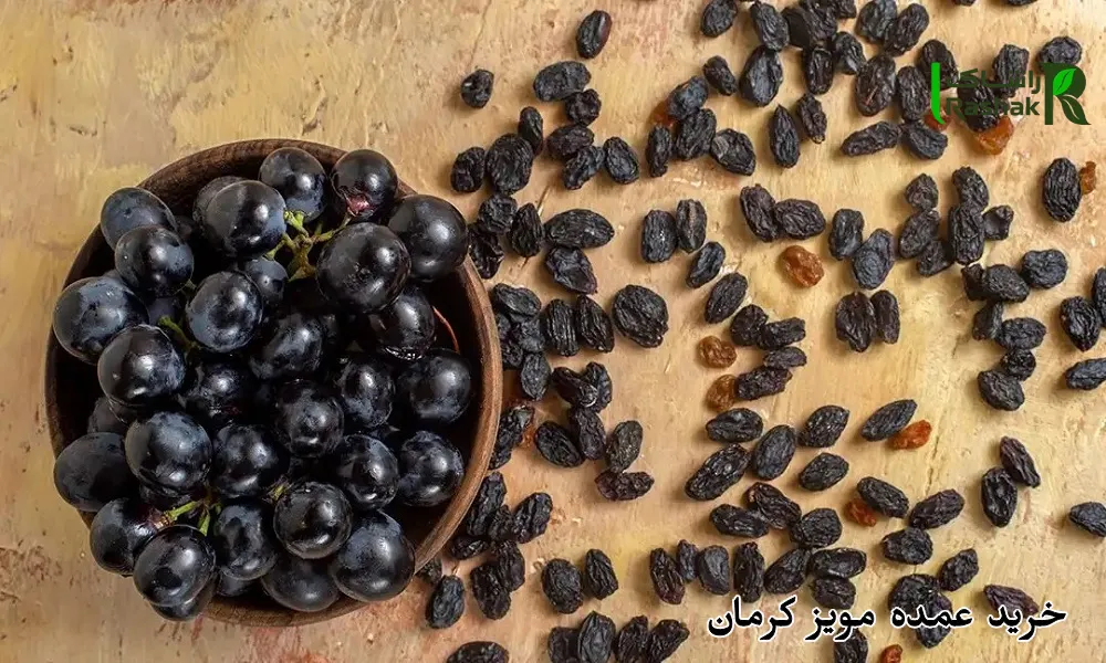 خرید عمده مویز کرمان