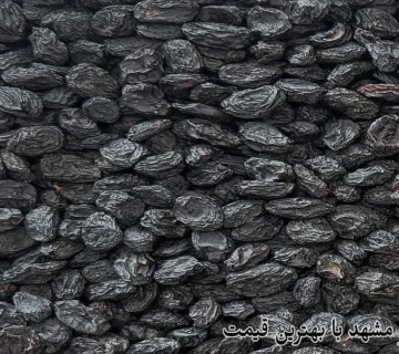 خرید مویز مشهد با بهترین قیمت