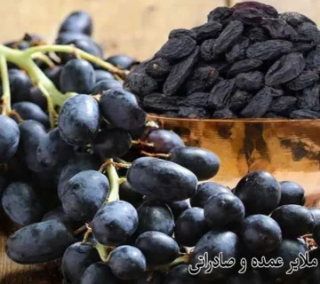 خرید مویز ملایر عمده و صادراتی