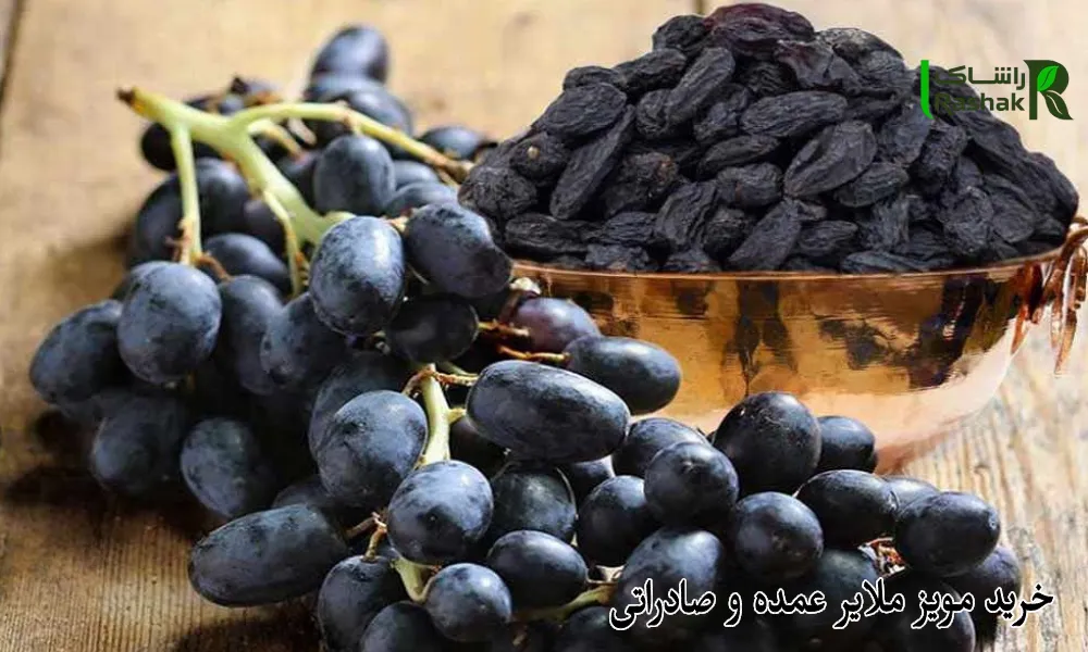 خرید مویز ملایر عمده و صادراتی