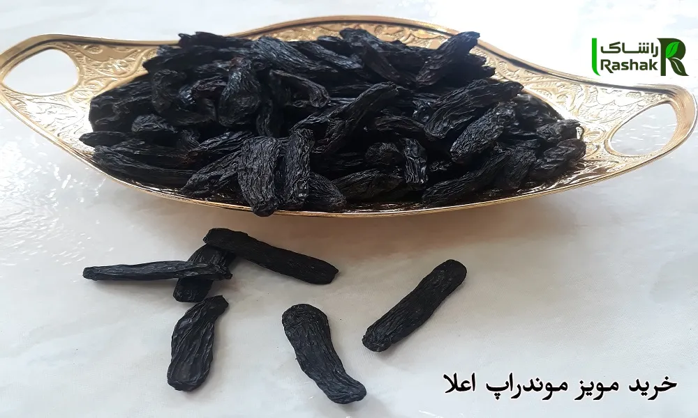 خرید مویز موندراپ اعلا