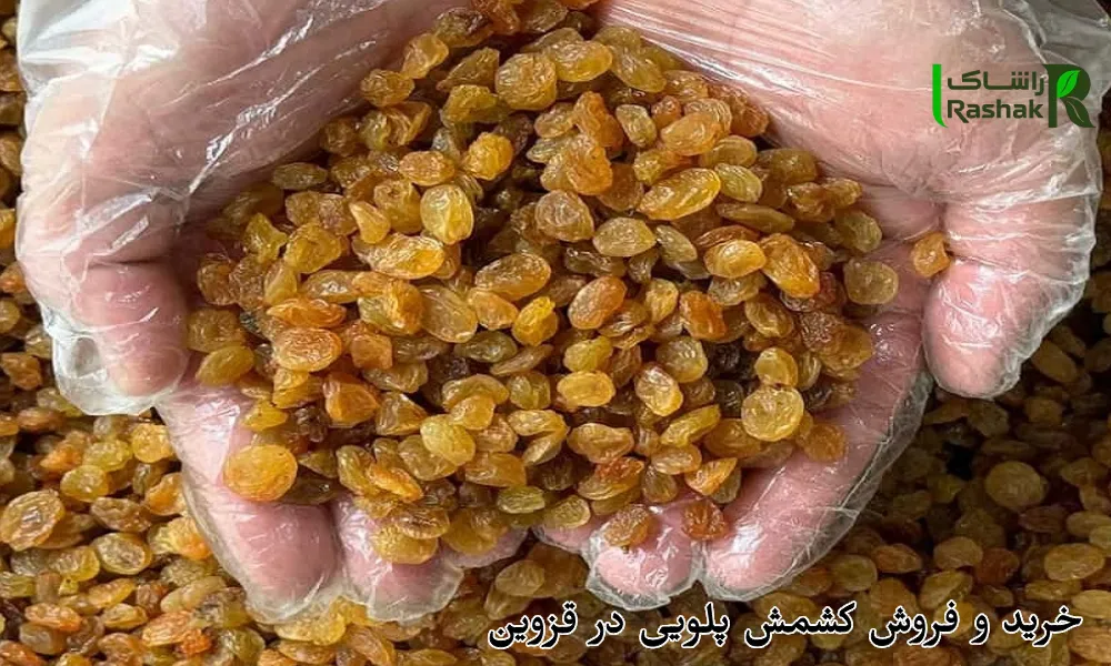خرید و فروش کشمش پلویی در قزوین